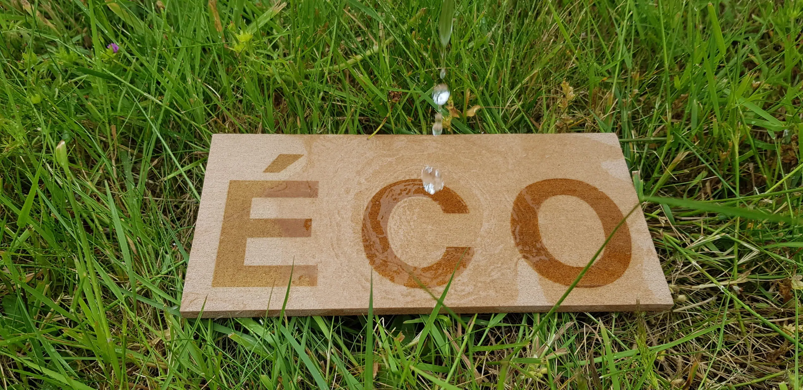 Solution éco-responsable à basse de cosse de riz - Semios