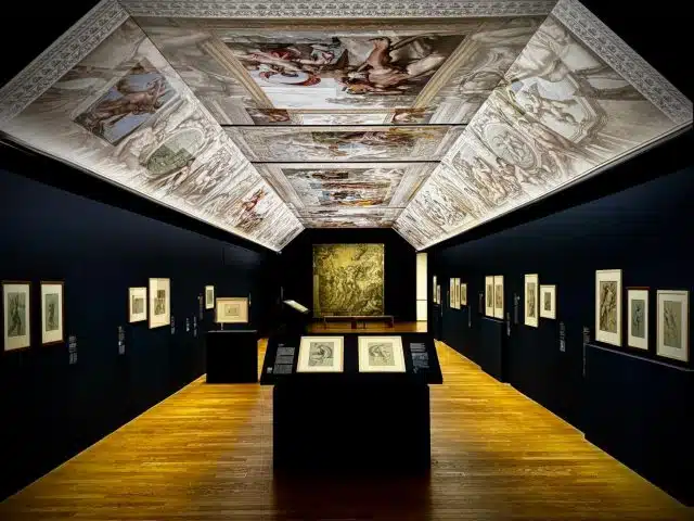 muséographie